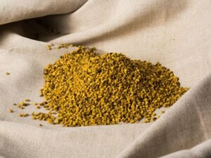 pylok пыльца пчелиная